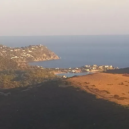 Roberta